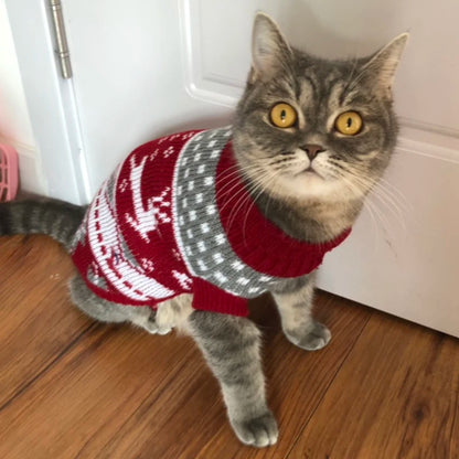Winter Warm Cat Sweater Pullover for Sphynx and Pets