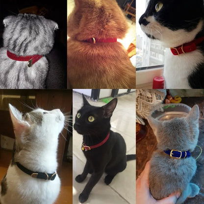 Safe Cat Collar with Bell for Small Dogs and Kittens