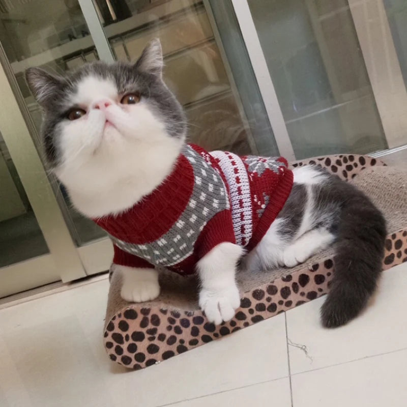 Winter Warm Cat Sweater Pullover for Sphynx and Pets