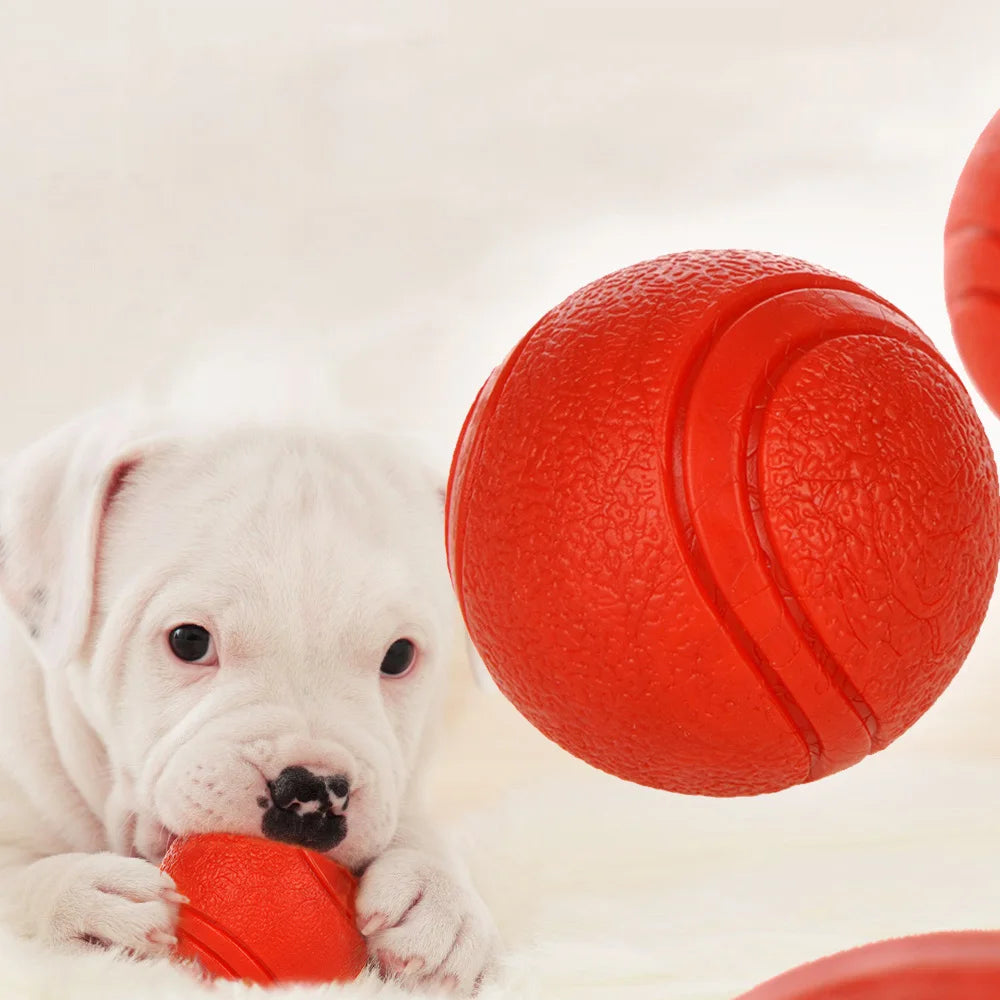 Bite-Resistant Rubber Dog Ball Toy for Puppies and Dogs