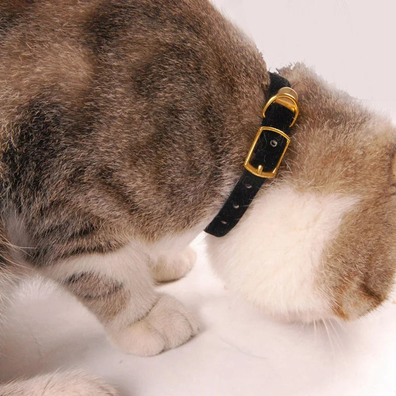 Safe Cat Collar with Bell for Small Dogs and Kittens