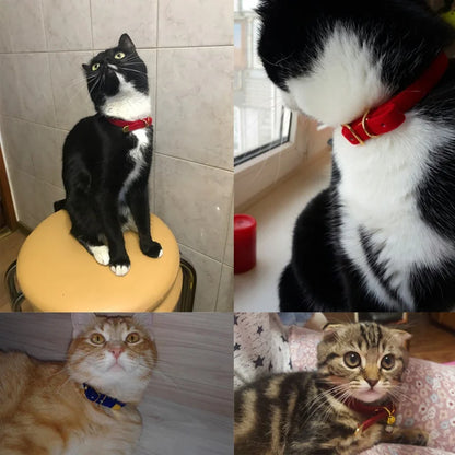 Safe Cat Collar with Bell for Small Dogs and Kittens