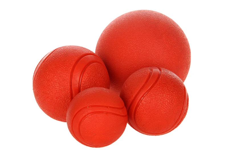 Bite-Resistant Rubber Dog Ball Toy for Puppies and Dogs