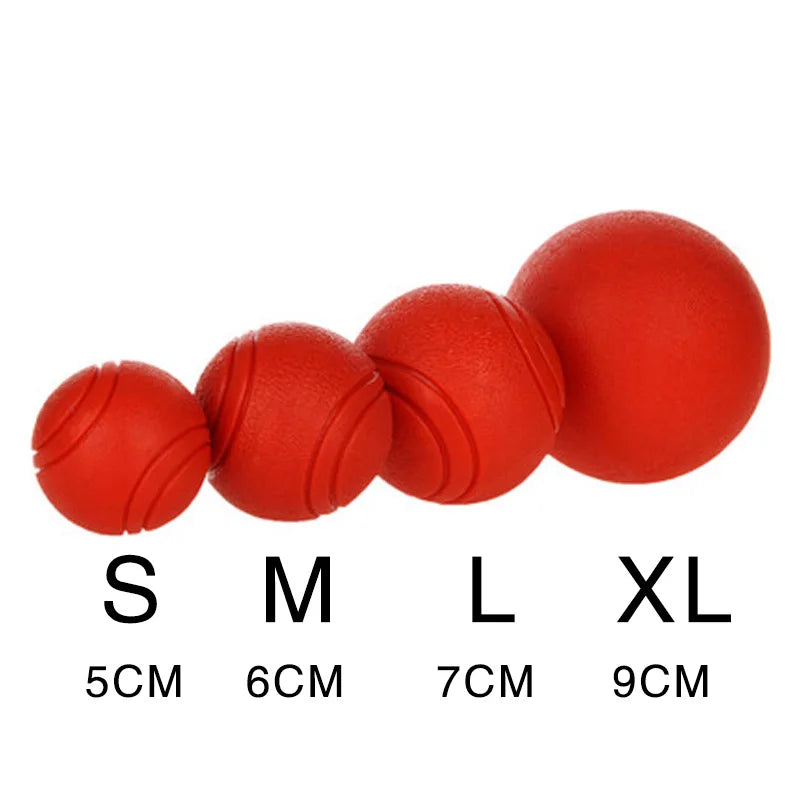 Bite-Resistant Rubber Dog Ball Toy for Puppies and Dogs