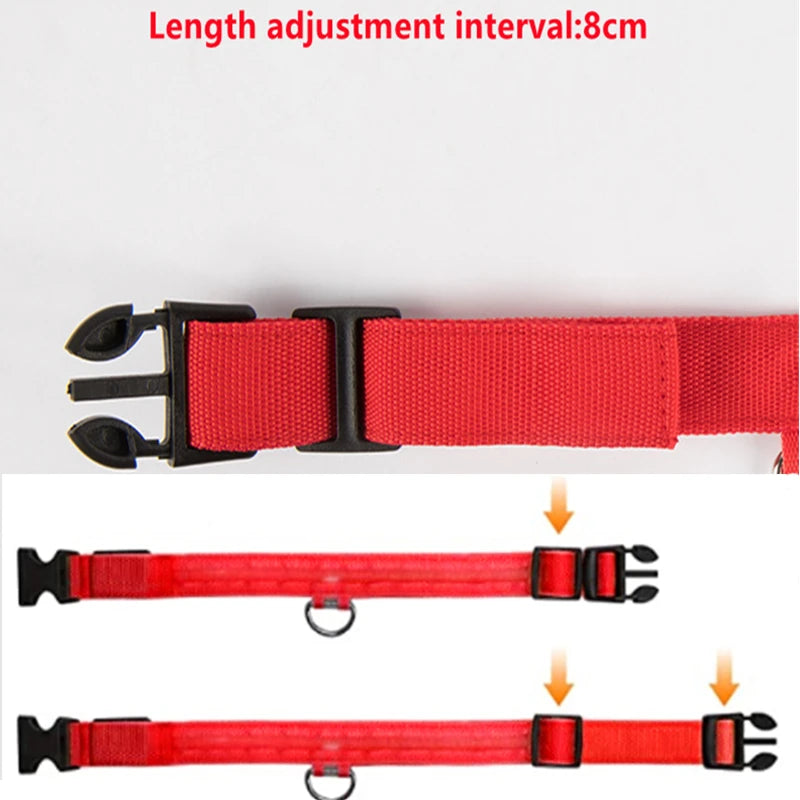 LED Light-Up Dog Collar for Night Safety - USB Rechargeable