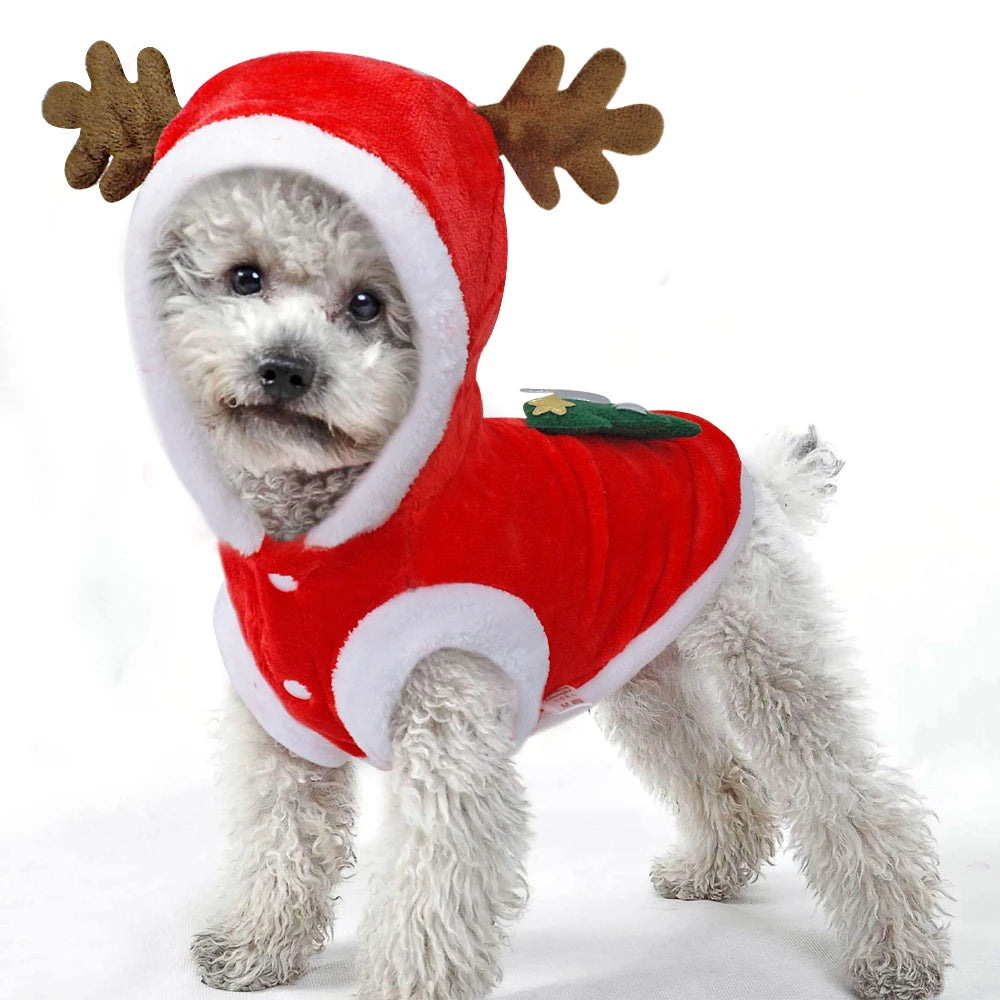 Santa Hoodie for Small Dogs - Winter Coat Costume Apparel
