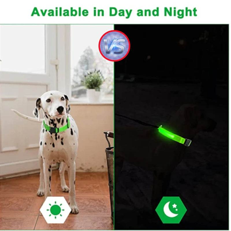 LED Light-Up Dog Collar for Night Safety - USB Rechargeable