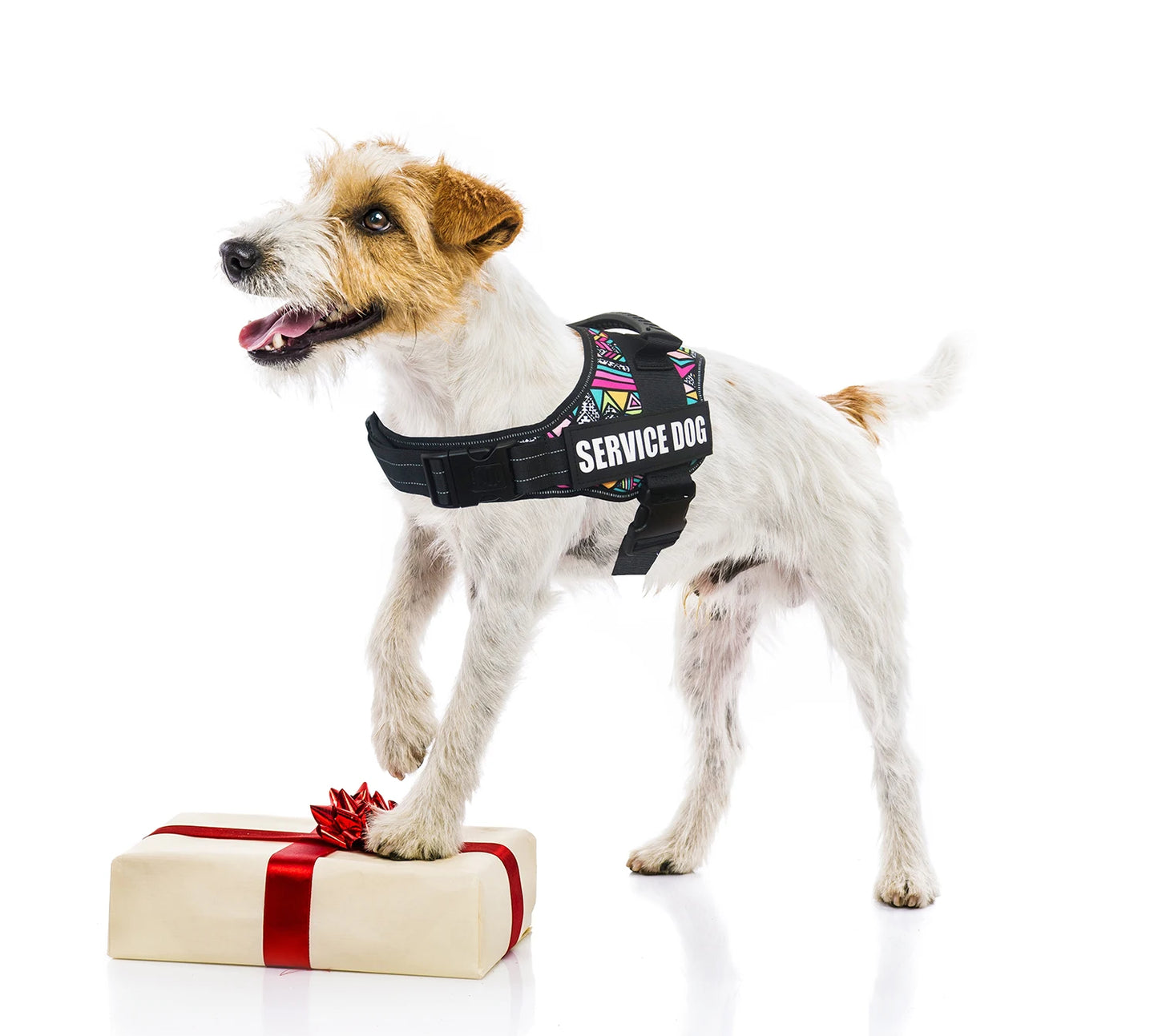 Service Dog Harness Vest with Reflective Patches for Medium Large Dogs