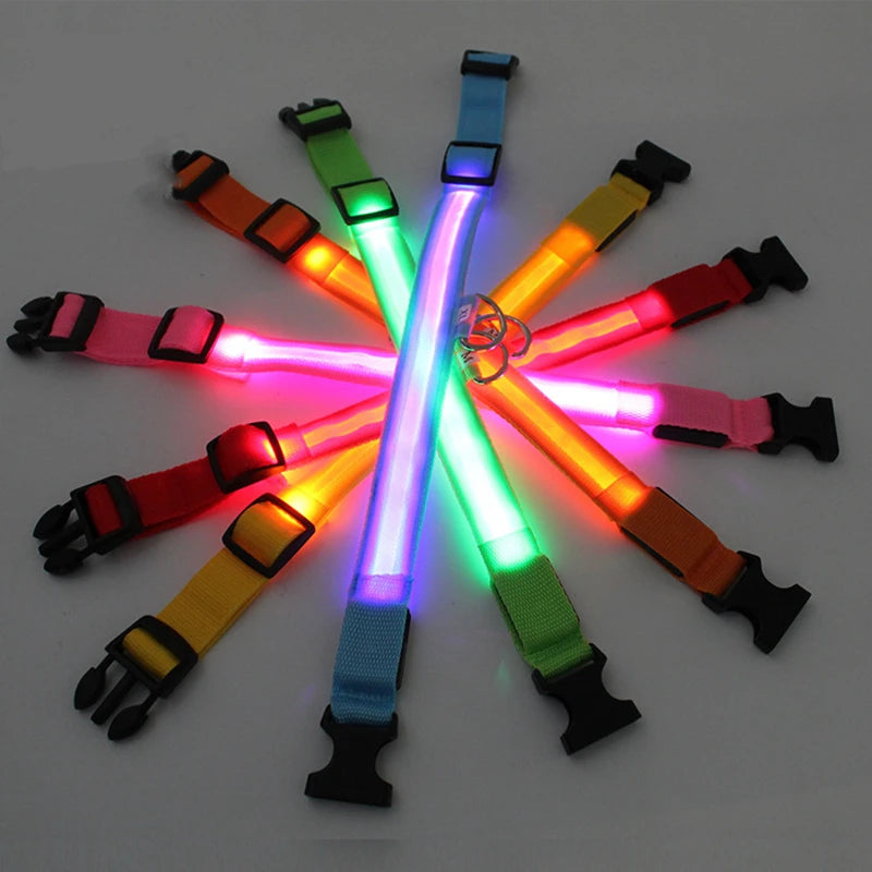 LED Light-Up Dog Collar for Night Safety - USB Rechargeable