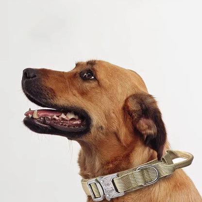Durable Nylon Dog Collar and Reflective Leash Set