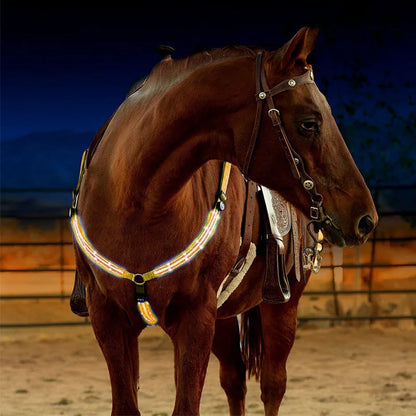 USB Rechargeable Horse Breastplate Harness with Night Visibility
