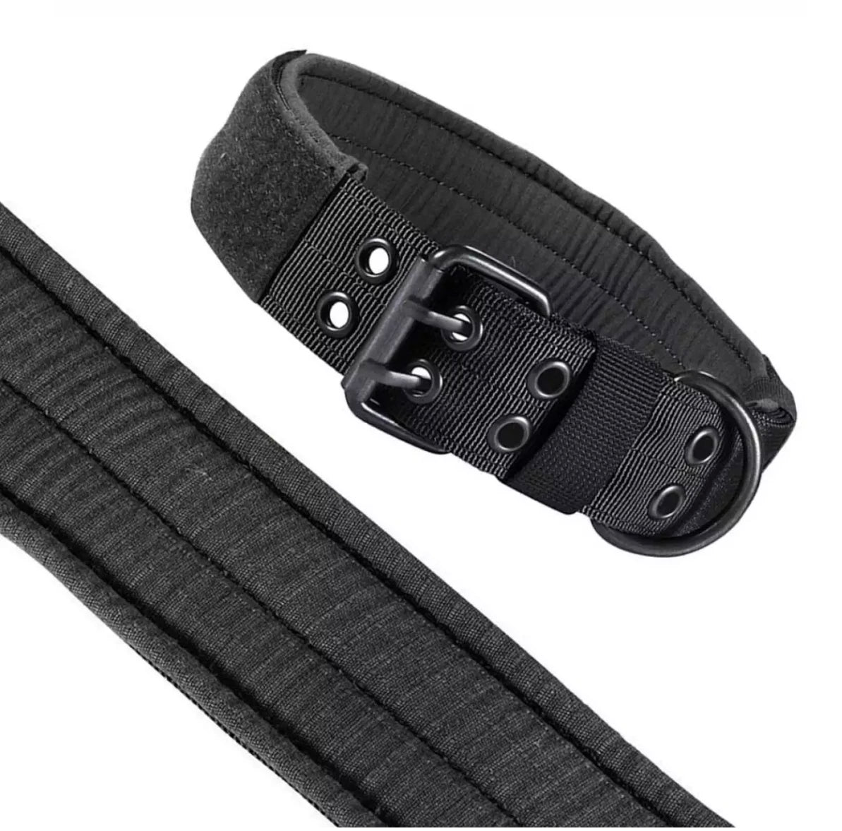 Reflective Heavy-Duty Nylon Dog Collar for Training