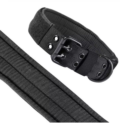 Reflective Heavy-Duty Nylon Dog Collar for Training