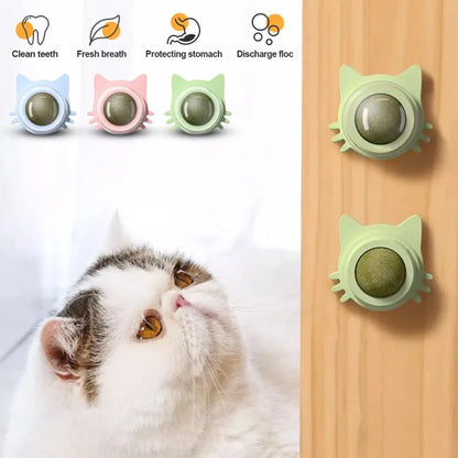 Catnip Lollipop Treat for Dental Care and Fresh Breath