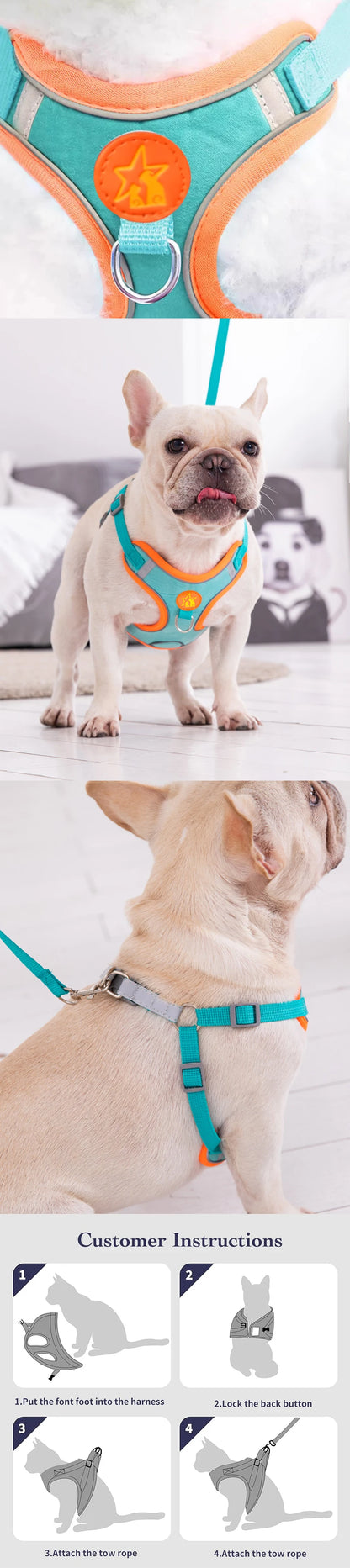 Reflective Chest Harness for Small Dogs with Traction Rope