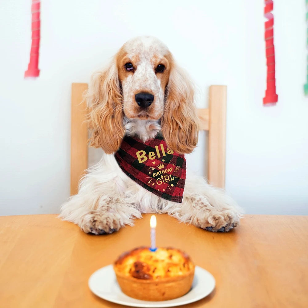 Personalized Pet Bandana Collar for Dogs and Cats