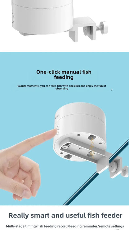 Timed Fish Feeder for Small Tanks - Clog-Free Design
