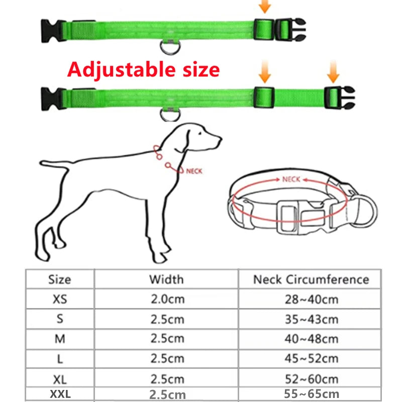 LED Light-Up Dog Collar for Night Safety - USB Rechargeable