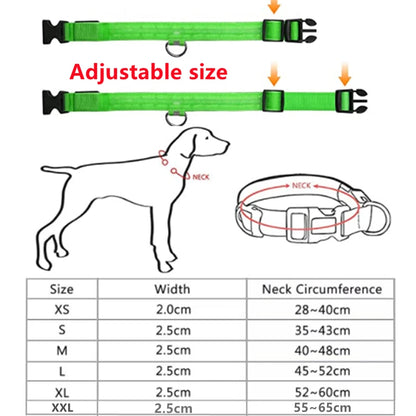 LED Light-Up Dog Collar for Night Safety - USB Rechargeable