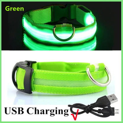 LED Glowing USB Rechargeable Pet Safety Collar for Dogs and Cats