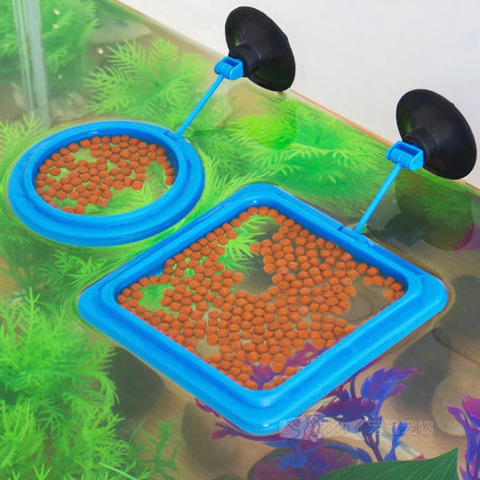 Portable Fish Feeding Ring with Suction Cups for Aquariums