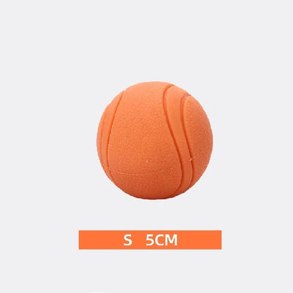 Bite-Resistant Rubber Dog Ball Toy for Puppies and Dogs