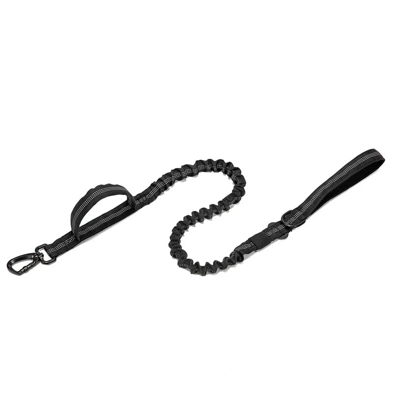 Durable Nylon Dog Collar and Reflective Leash Set