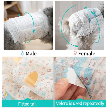 Leakproof Female Dog Diaper for Menstrual Protection