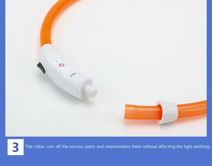 LED Glowing USB Rechargeable Pet Safety Collar for Dogs and Cats