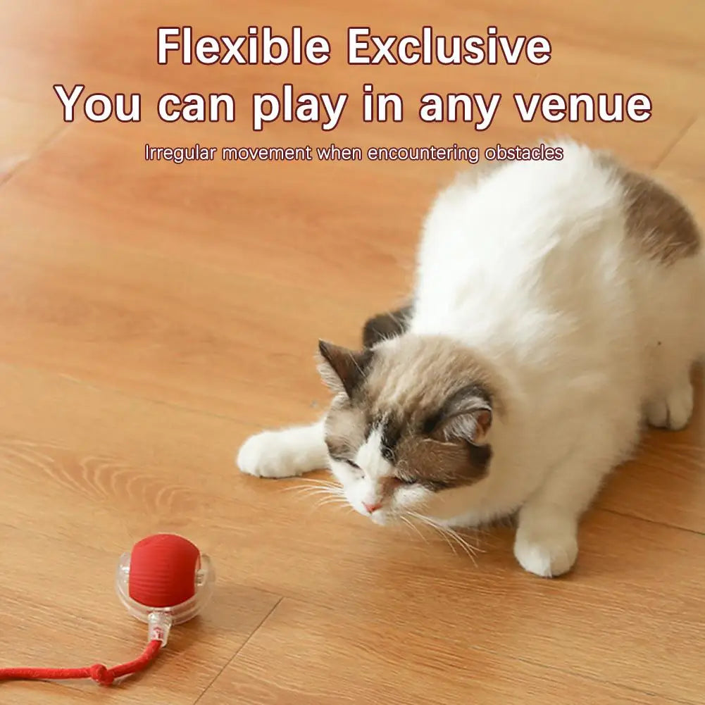 Rechargeable Interactive Cat Ball Toy with Faux Tail