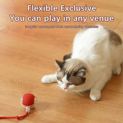 Rechargeable Interactive Cat Ball Toy with Faux Tail