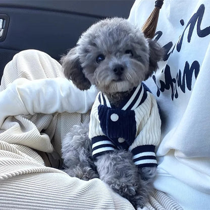 Embroidered Baseball Jacket for Small Dogs and Cats
