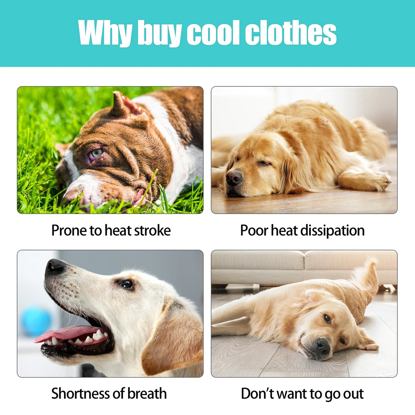 Adjustable Cooling Vest for Dogs - Lightweight & Reflective