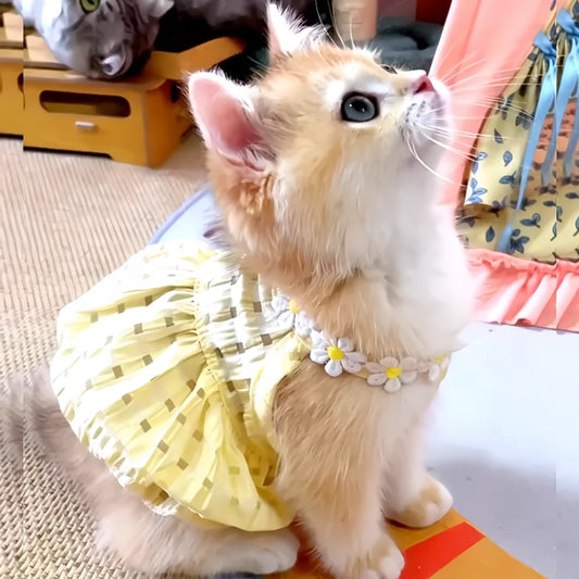 Summer Floral Cat and Small Dog Dress with Collar