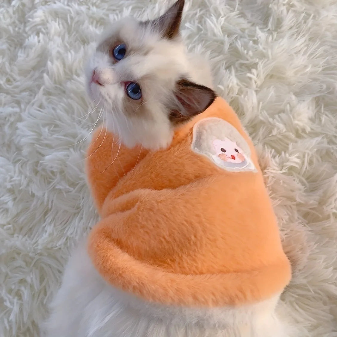Cozy Winter Clothes for Small Cats and Dogs