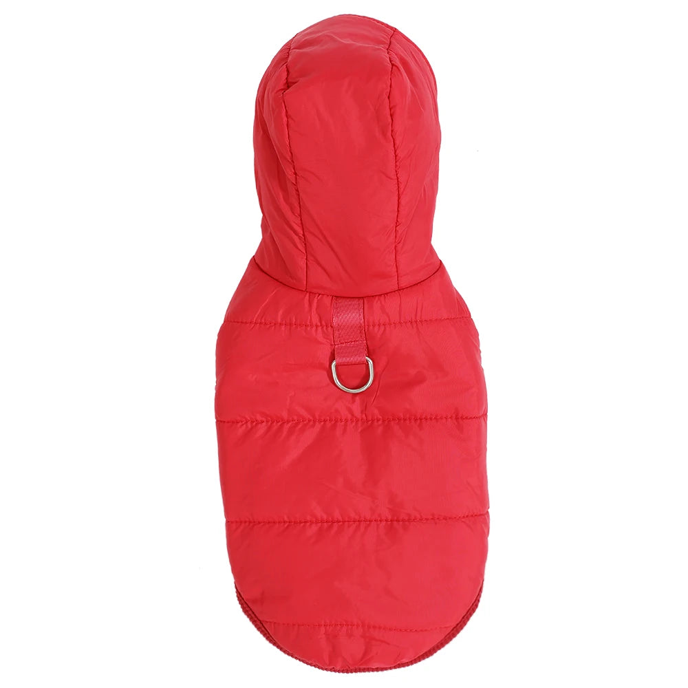 Soft Fleece Hooded Jacket for Small Cats and Kittens