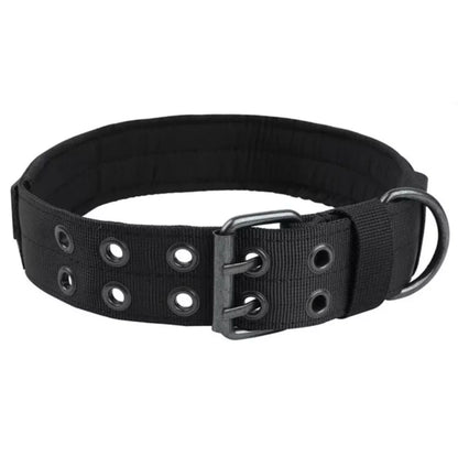 Reflective Heavy-Duty Nylon Dog Collar for Training