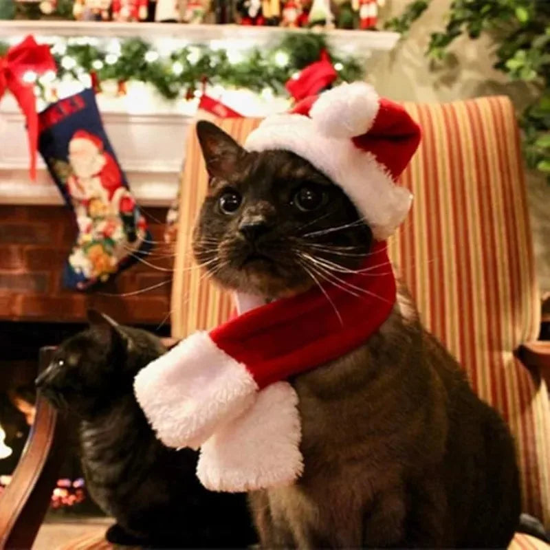 Pet Christmas Hat and Scarf Set for Cats and Small Dogs