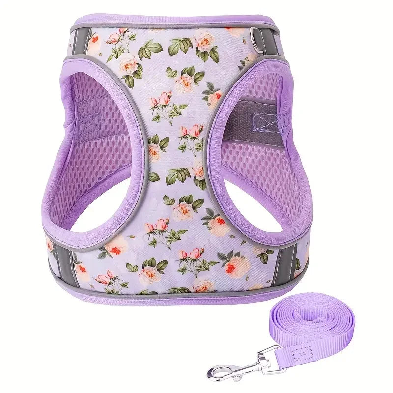 Printed 360° Fit Pet Harness with 1.5m Leash for Dogs & Cats