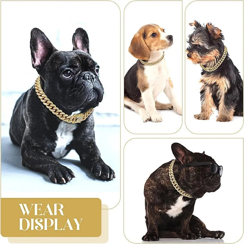 Gold Metal Dog Chain Collar for Small to Large Pets