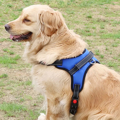 Adjustable Dog Harness and Leash Set for Small to Medium Dogs