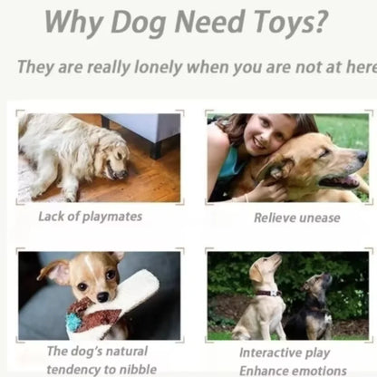 Cute Interactive Dog Squeaky Chew Toy with Cotton Ropes