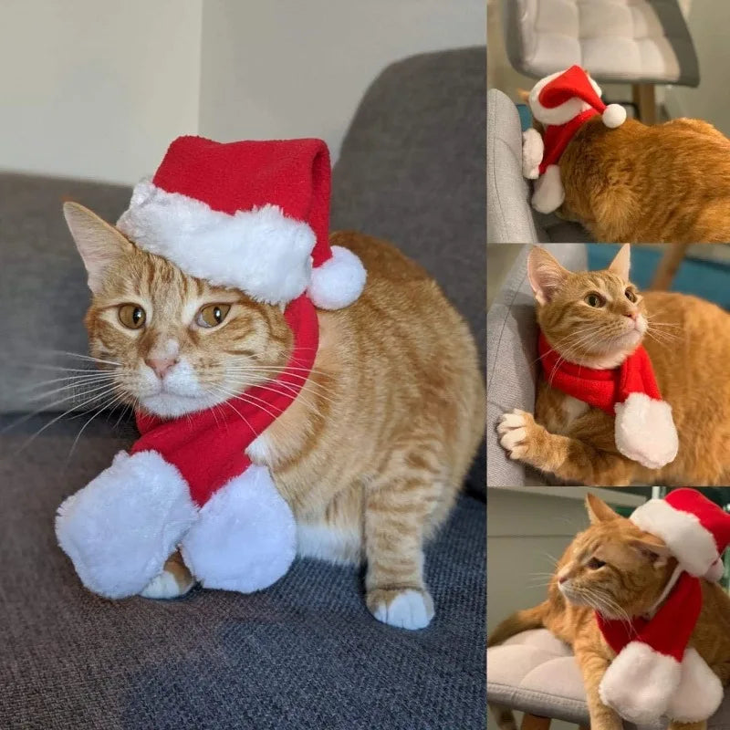 Pet Christmas Hat and Scarf Set for Cats and Small Dogs