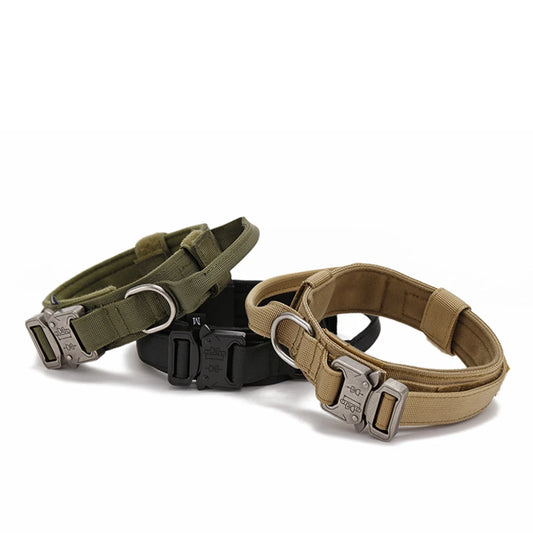 Durable Nylon Dog Collar and Reflective Leash Set