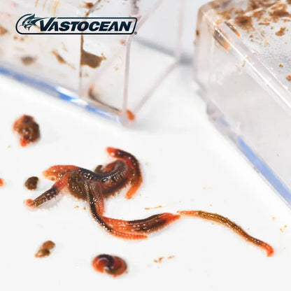 Acrylic Worm Catcher Trap for Freshwater and Saltwater Aquariums