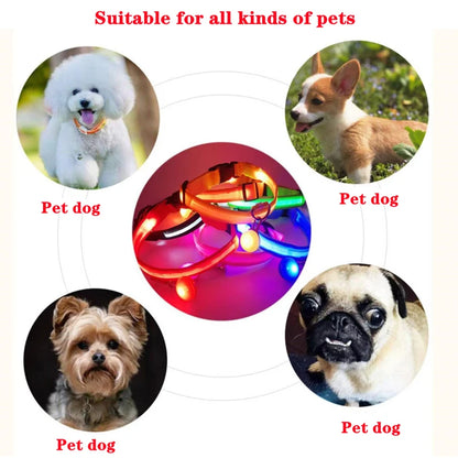 LED Light-Up Dog Collar for Night Safety - USB Rechargeable