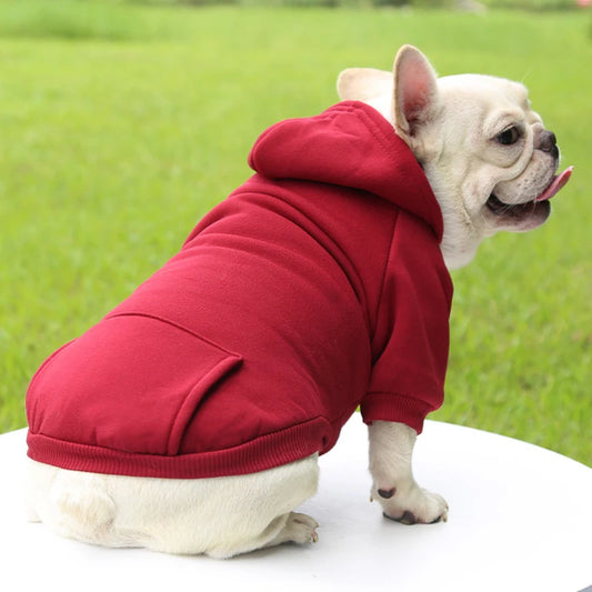 Warm Hooded Sweater for Small Dogs - Autumn & Winter Wear