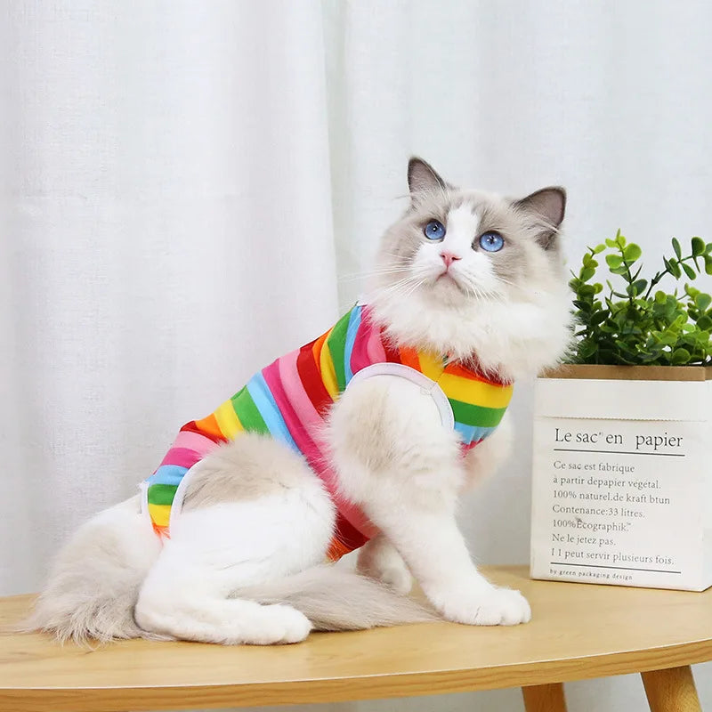Pet Surgical Recovery Suit for Small Dogs and Cats