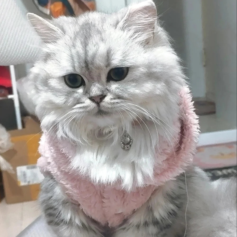 Cozy Rabbit Ears Hoodie for Cats and Small Dogs