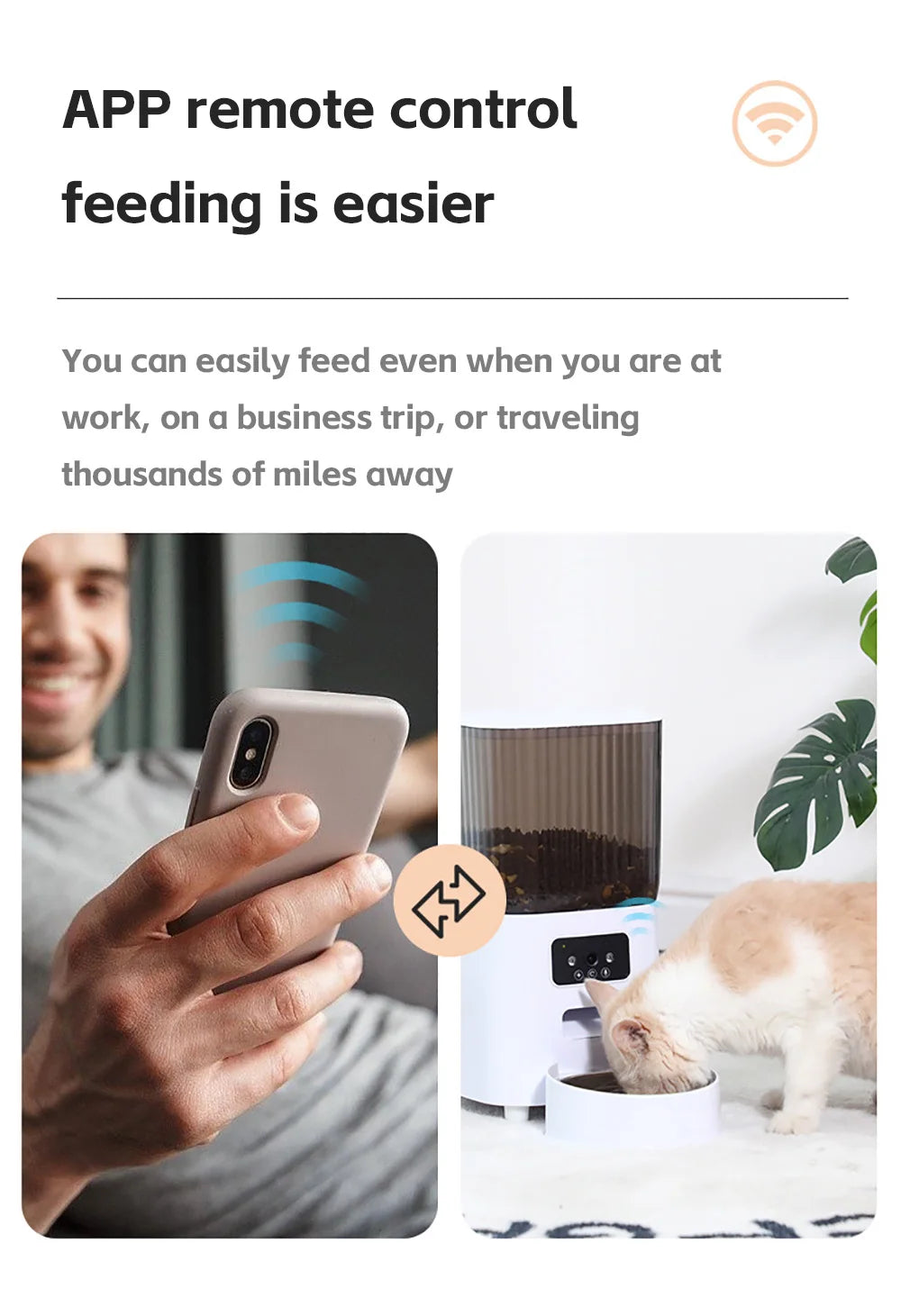 Automatic Cat Feeder with Camera and Voice Recorder